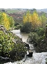 Countryside.jpg