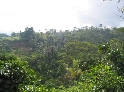 Countryside.jpg